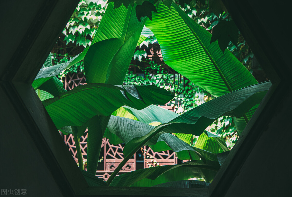 浜戠儫椋庡皹鐭ヤ箮,椋庡皹浜戠儫鍚庣画