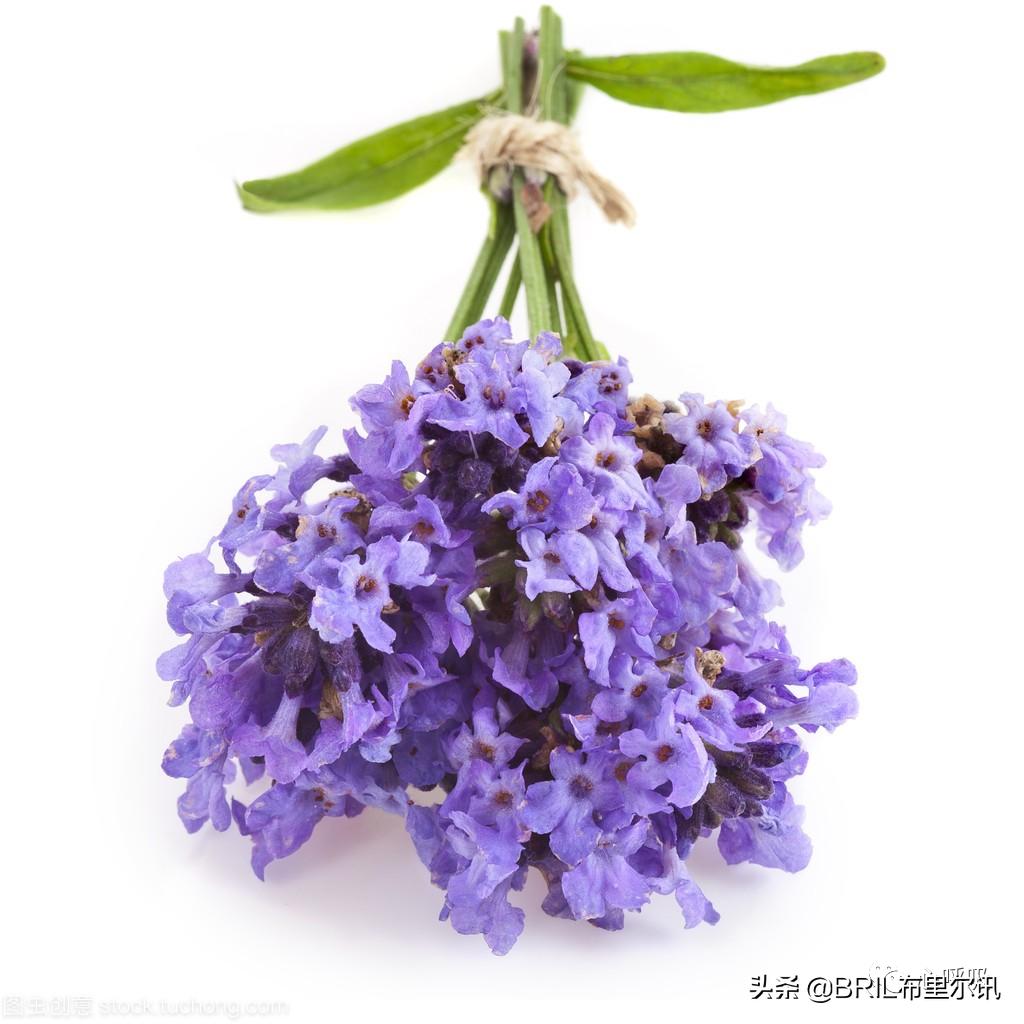 陕志联抗疫专家王浩教授｜封闭期间大学生如何做好心理调适