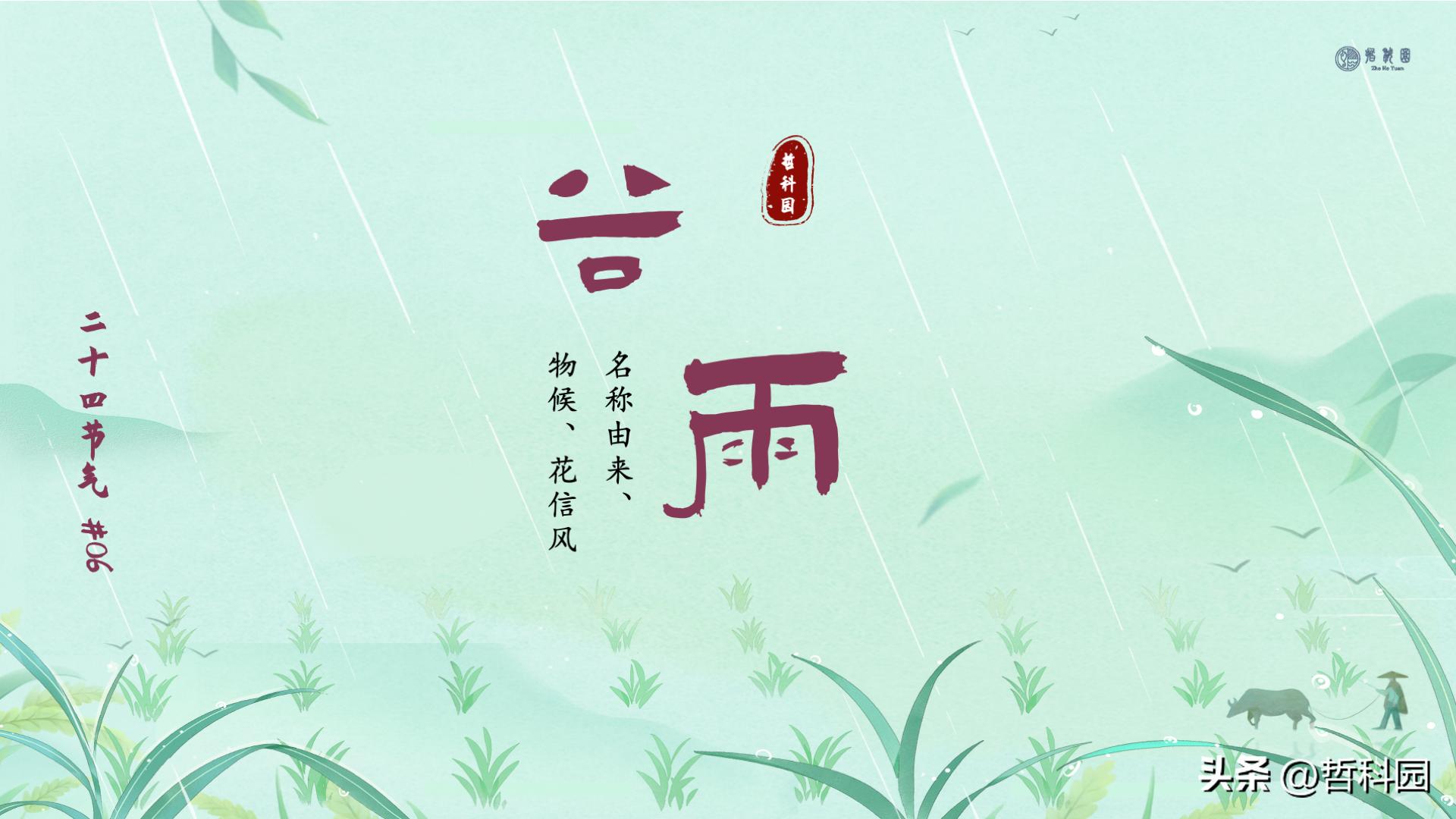 谷雨节气花信风视频,谷雨二候花信风