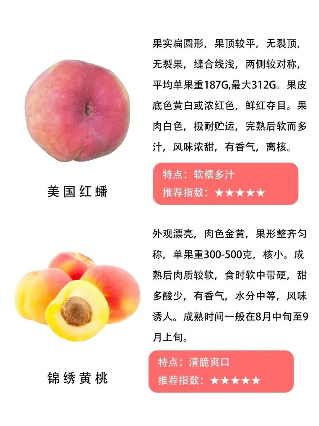 遵义桃子的品种和特点,常见的桃的品种区别有哪些