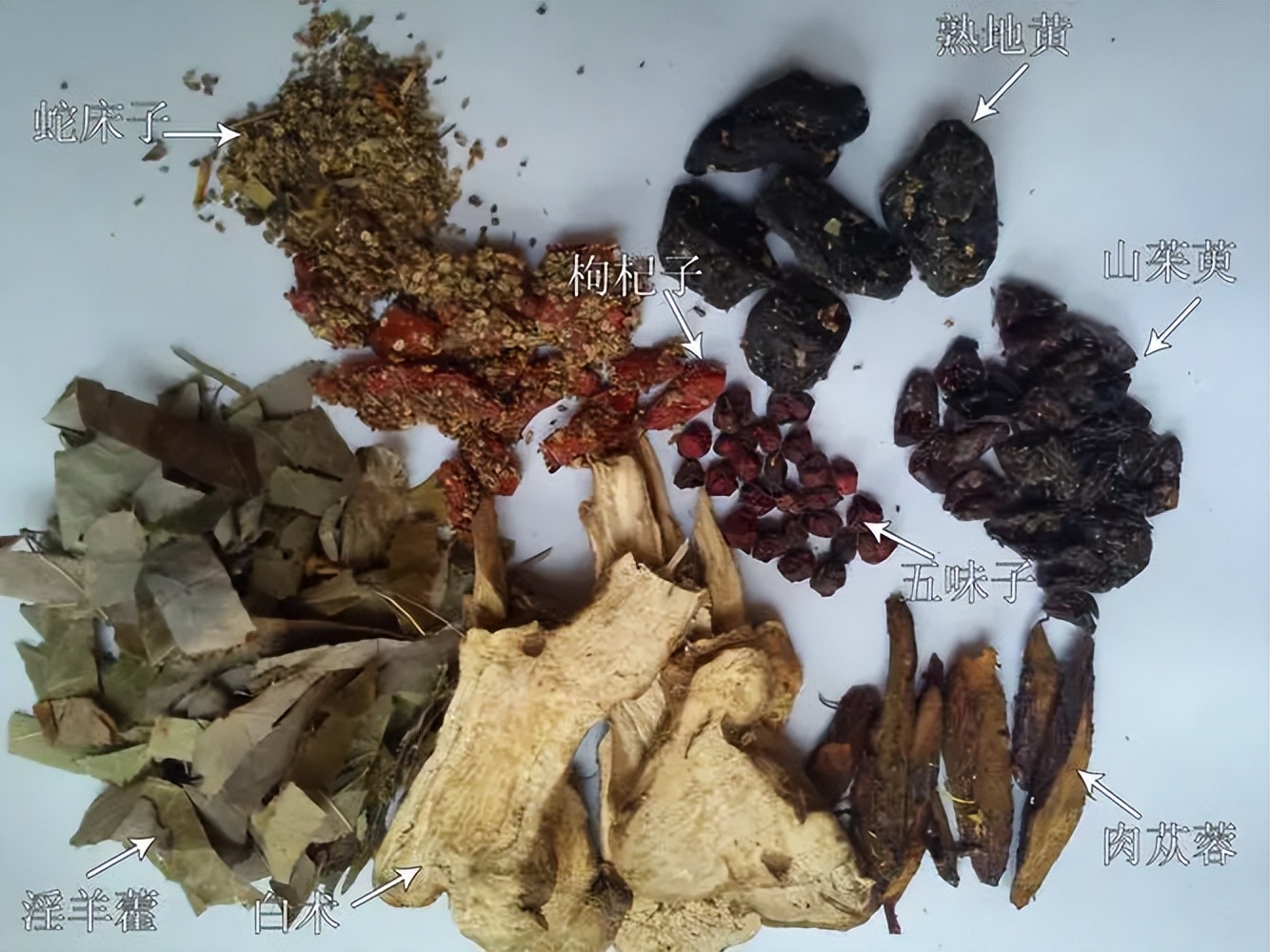 骨康胶囊治阴虚还是阳虚,骨康胶囊对骨质疏松有用吗