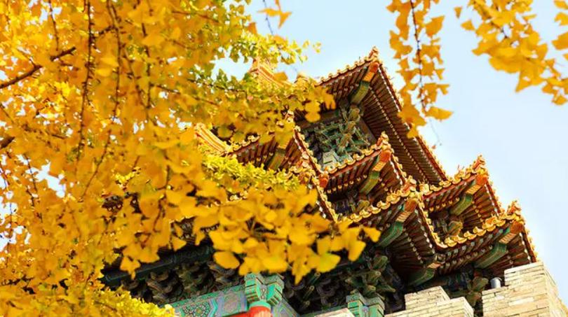 10月最美丽的风景在哪里,张掖十大自然美景