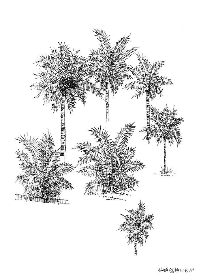 零基础不会画画怎么学当插画师,零基础画不好色彩