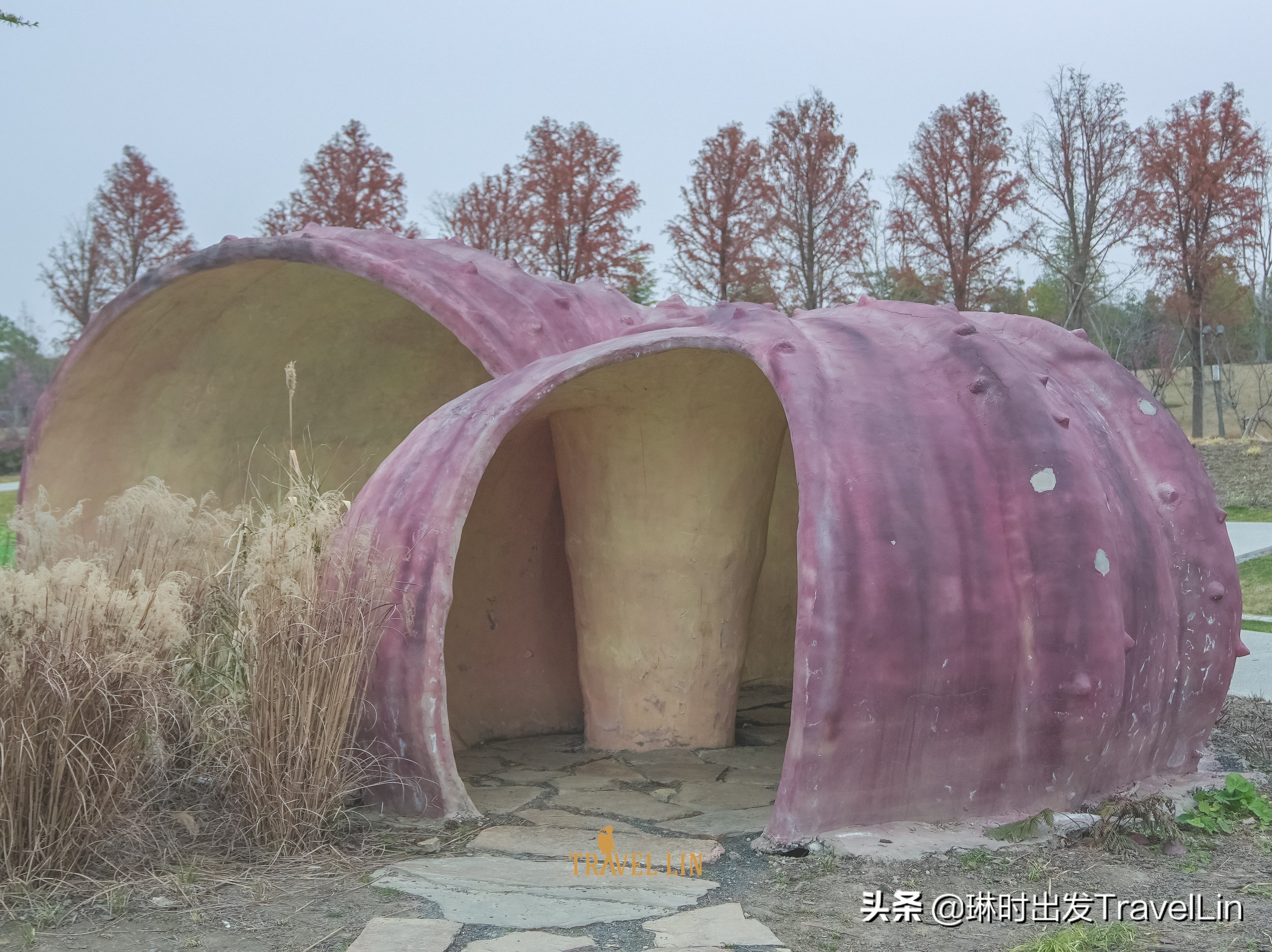 上海奉贤公园推荐,奉贤泡泡公园效果图