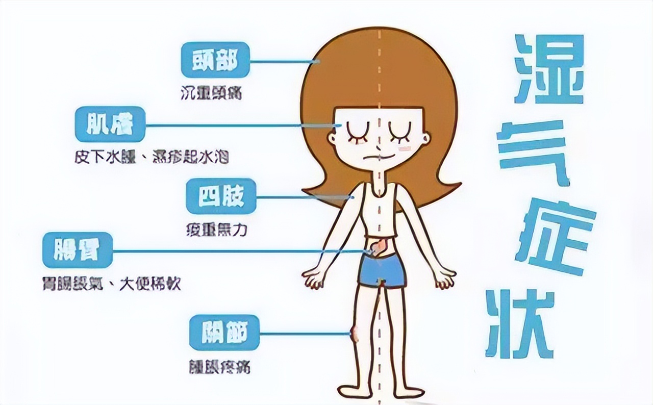 湿热头发出油,身体湿热口臭大便臭怎么办