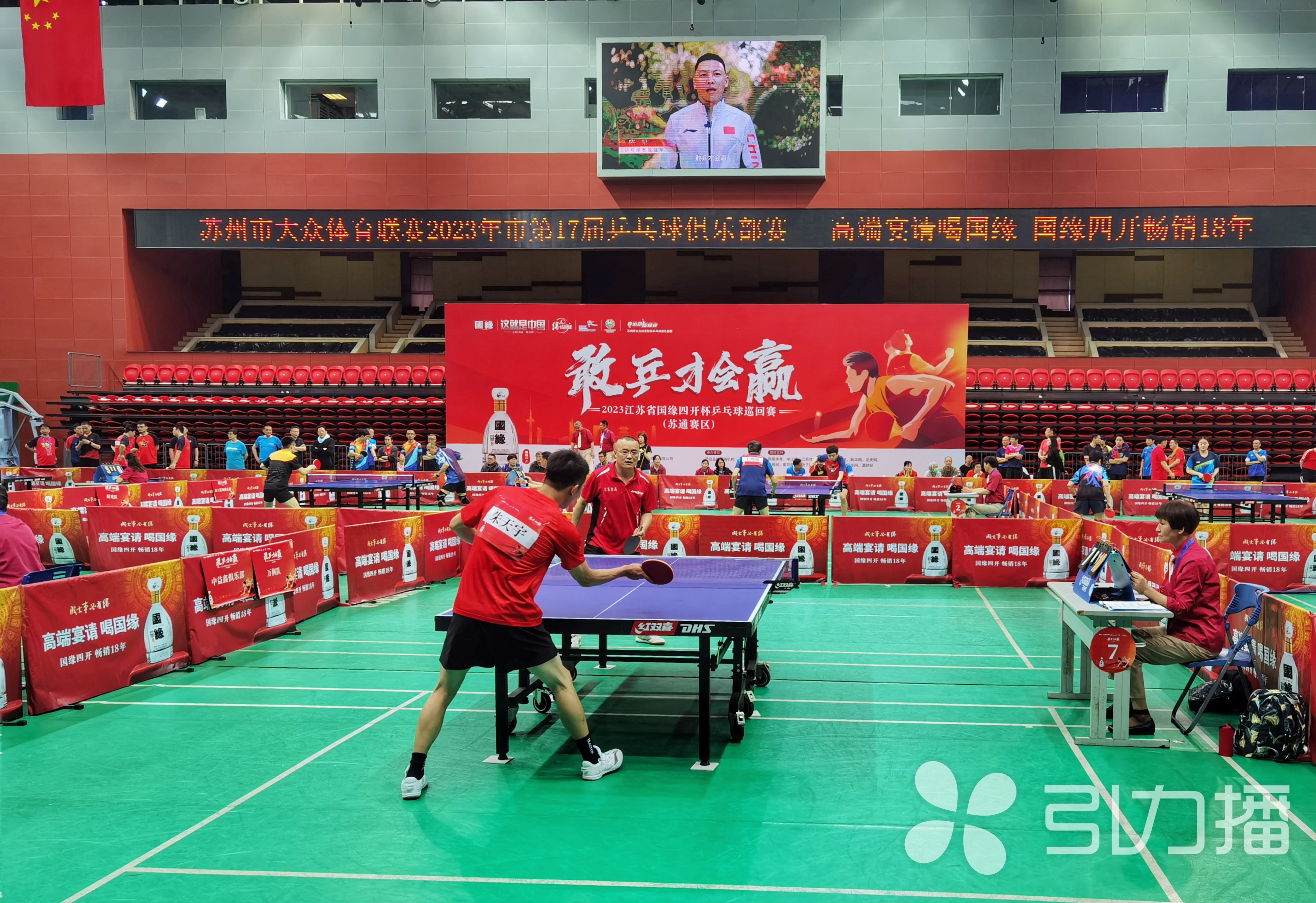 国球乒乓球比赛视频直播,国内即将举办的大型乒乓球比赛