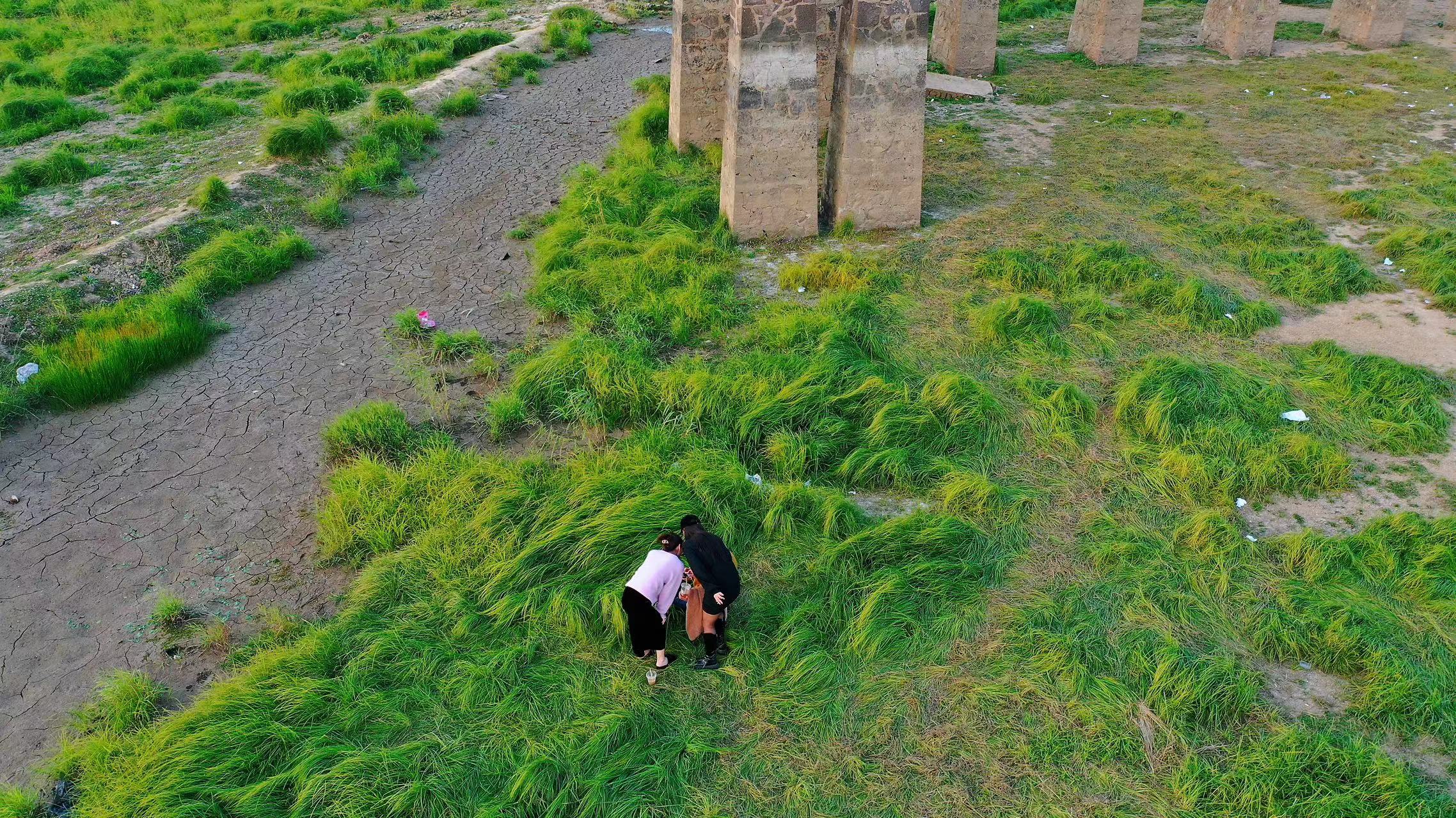 江苏规划一座大桥全长37公里,江苏在建一条大桥