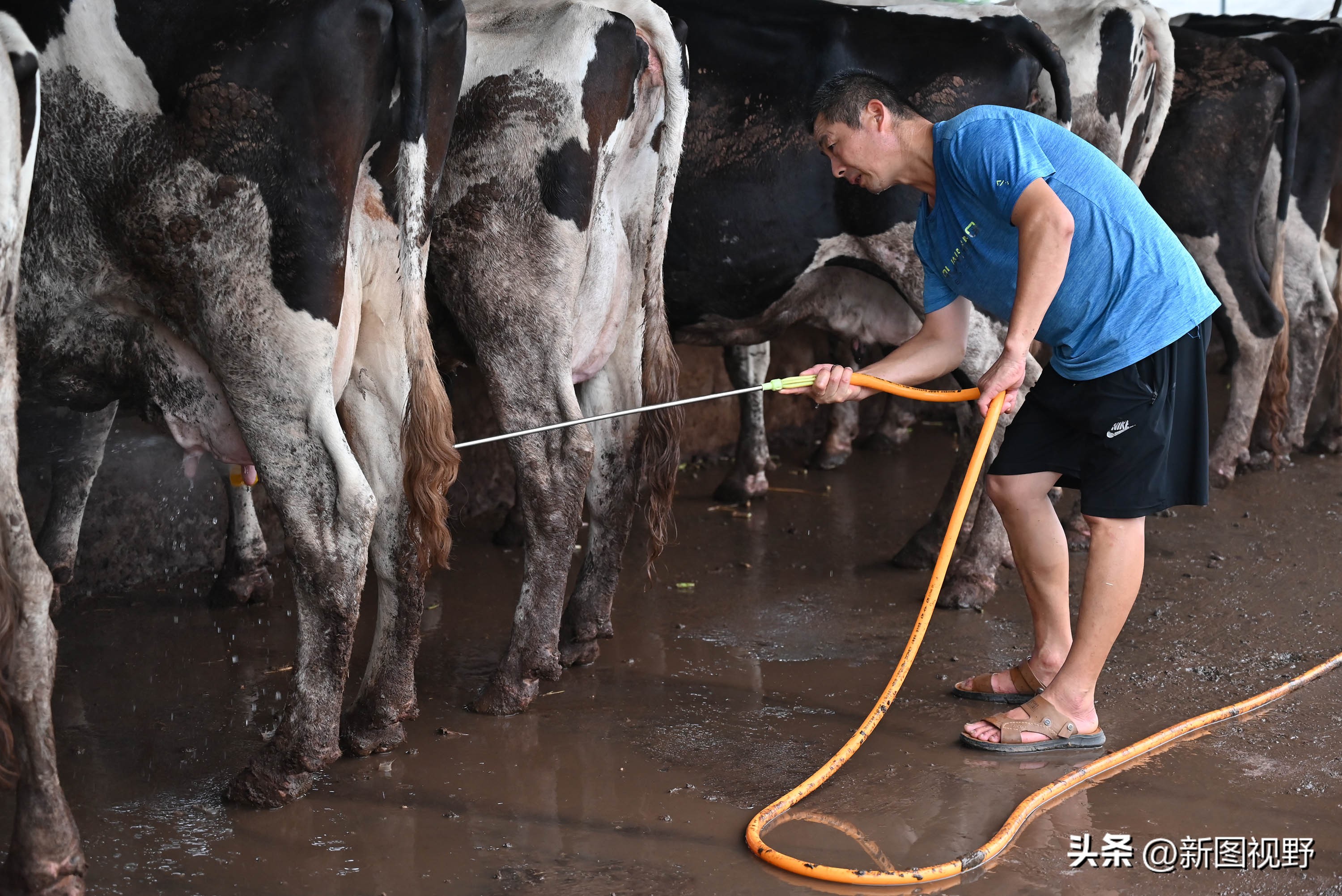 夫妻做的暴利生意,夫妻俩做生意赚3亿