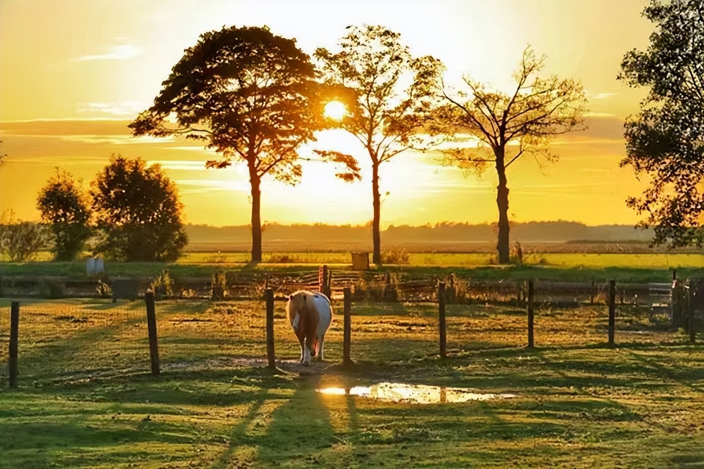 骑行荷兰人,骑自行车旅游达人