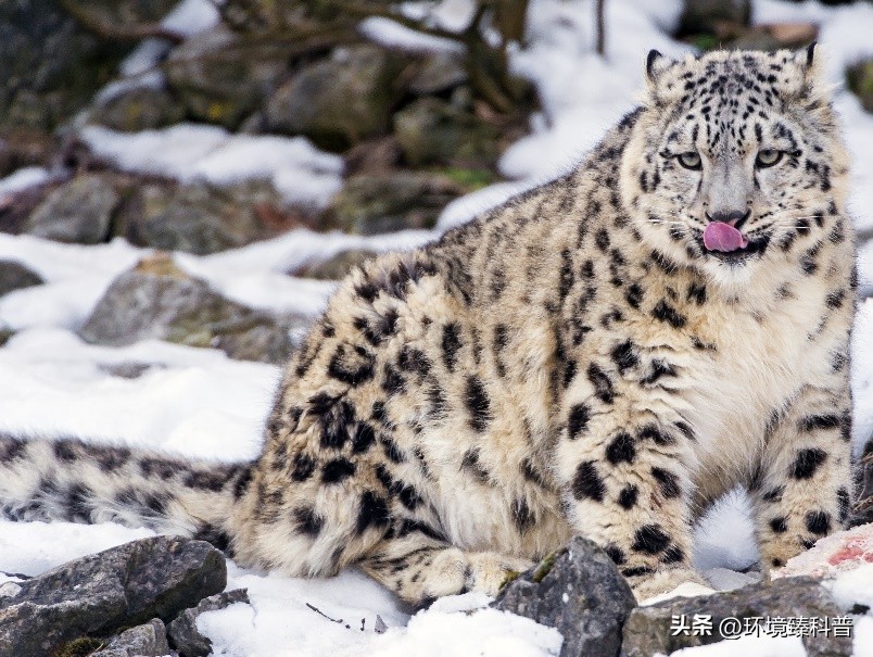 盘点中国拥有的14项世界自然遗产，是否有你的家乡