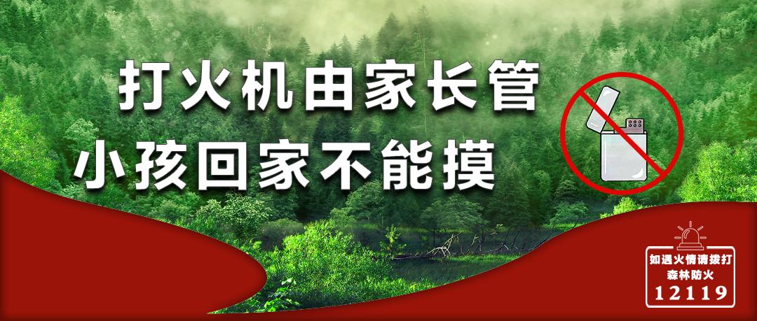 凉山州教育先进集体丨西昌一中:翰墨飘香写华章