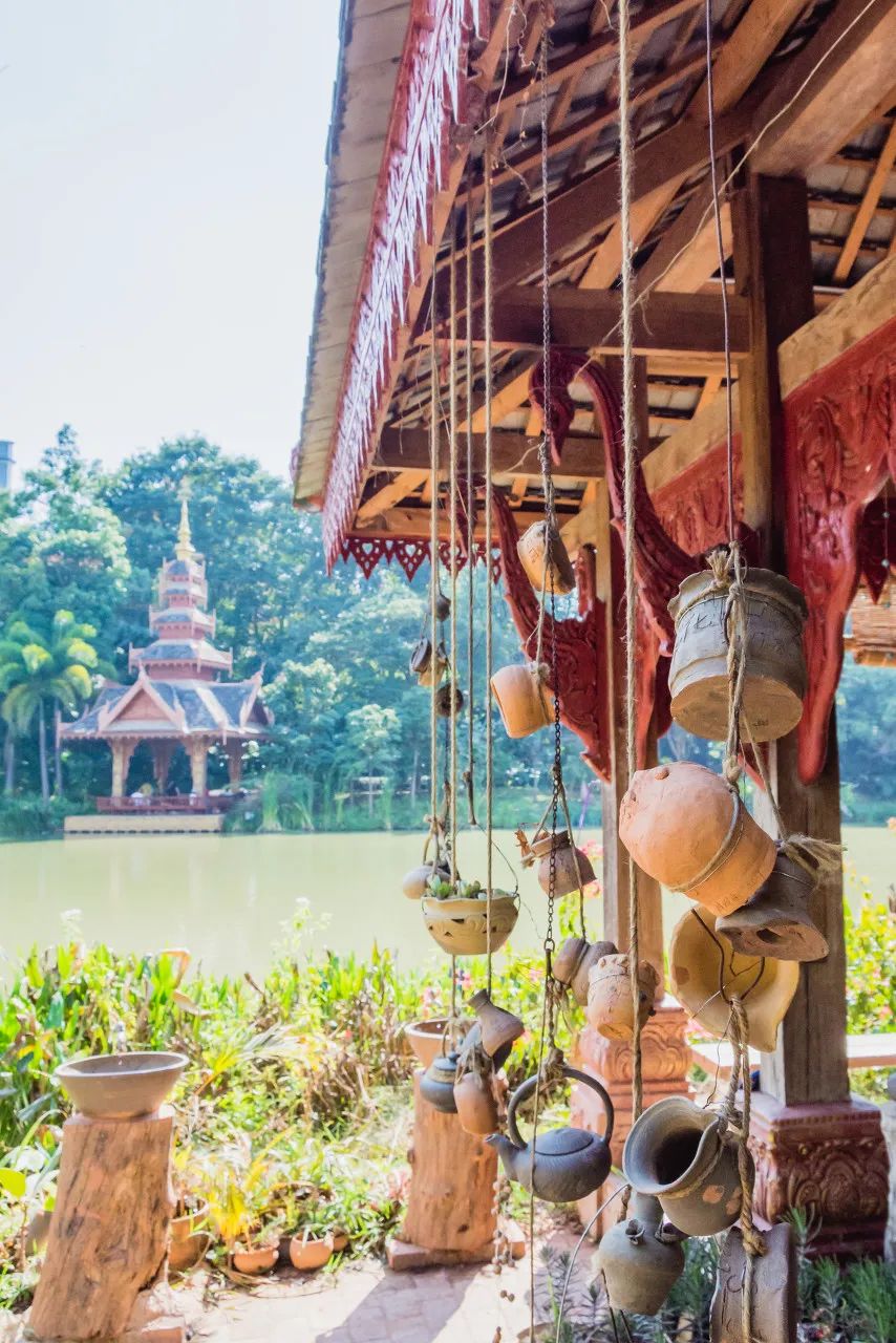 西双版纳体验雨林,吃遍热带水果西双版纳