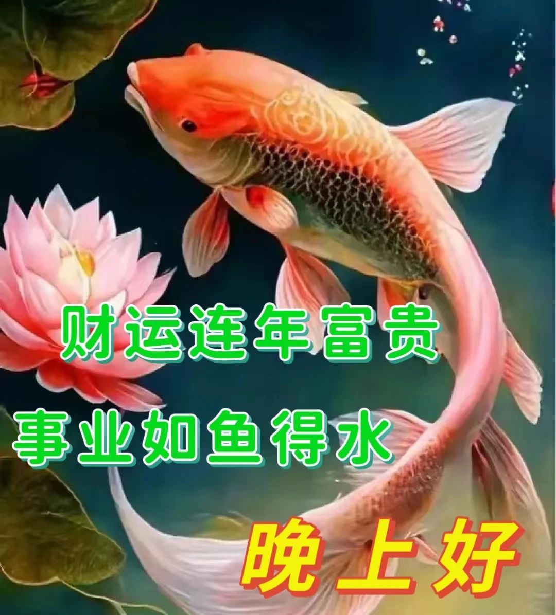 早安问候朋友带字最美图片,4月28日早安问候图片文字