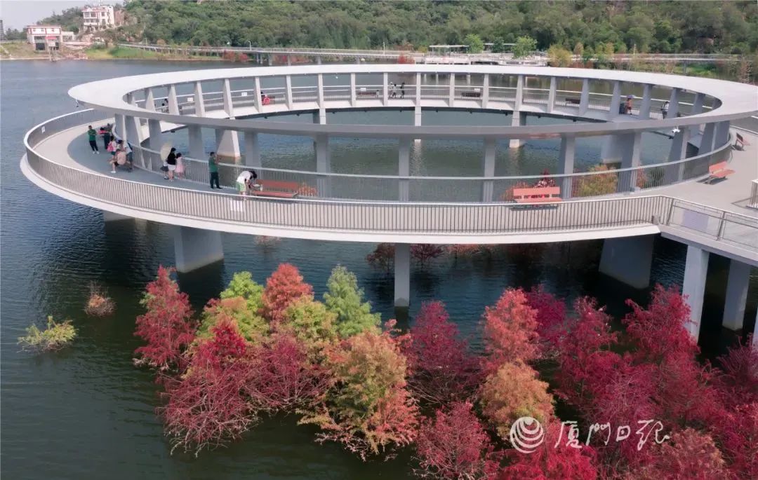 厦门秋游最佳去处,厦门周边秋游