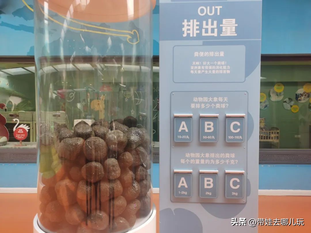 一天玩遍北京野生动物园,包场去鸟巢