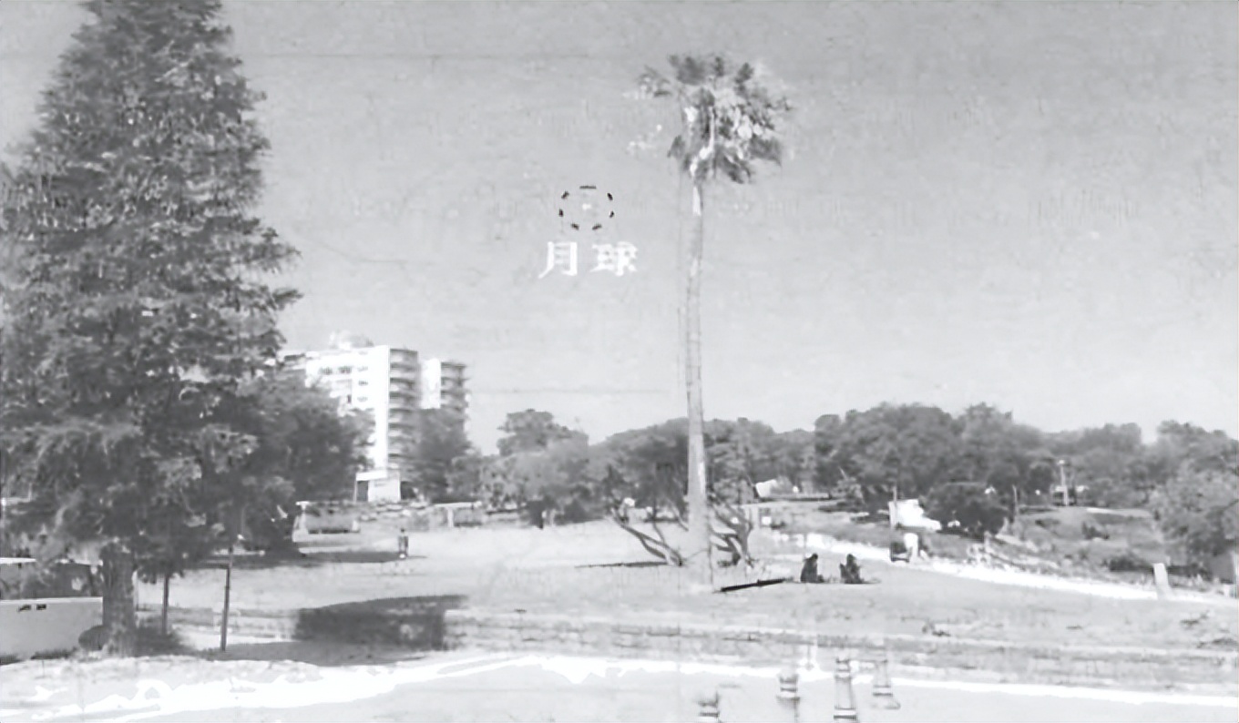 高考真题专项训练2024,2019-2023高考真题专项训练