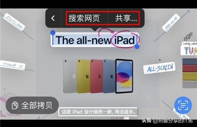 苹果实况文本功能怎么设置,苹果ios15新功能实况图片提取文字
