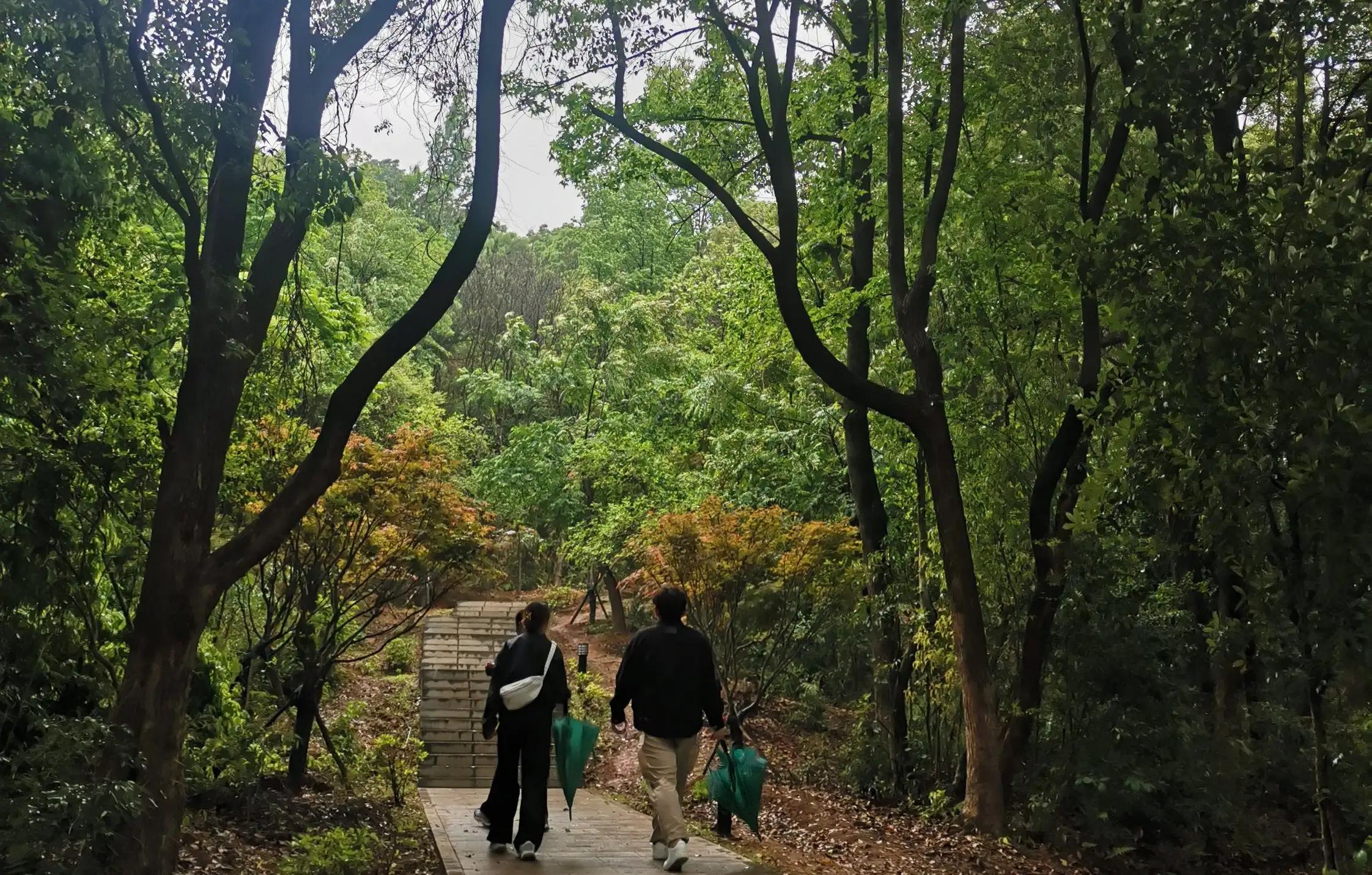 爬山爬不上去的原因及解决方法,爬山爬不动文案