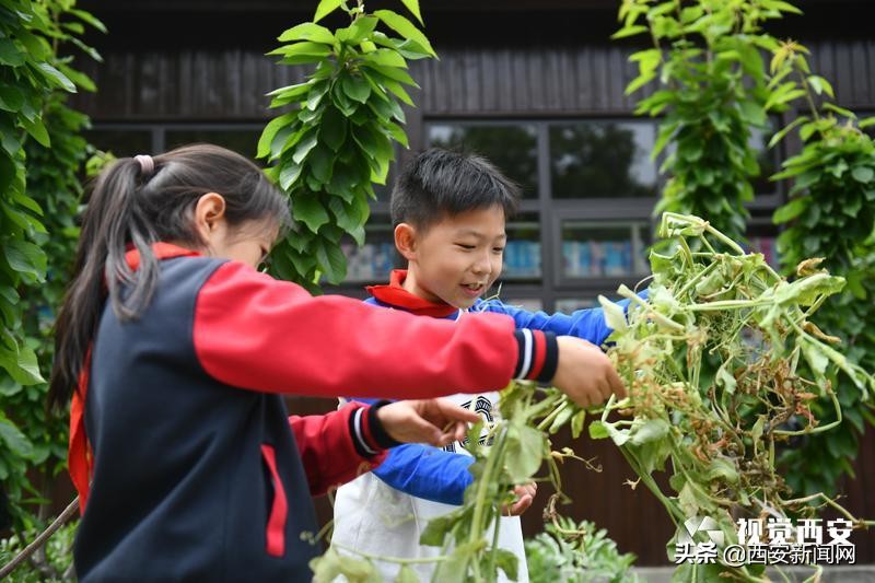 以教育高质量发展为己任,西安基础教育优质均衡发展