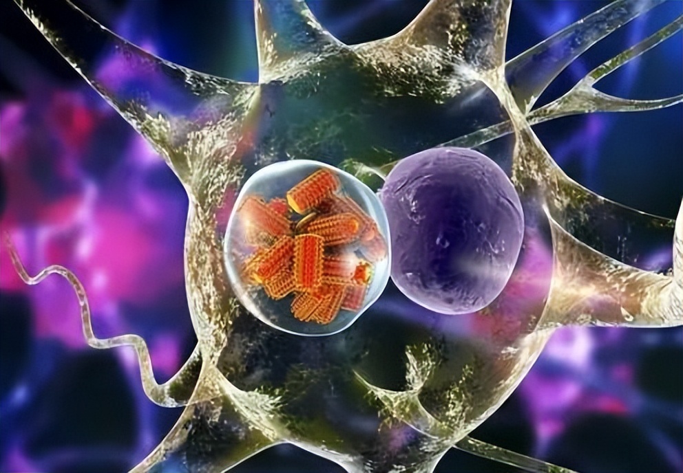 为什么狂犬病的致死率是100%,狂犬病为什么致死率100%