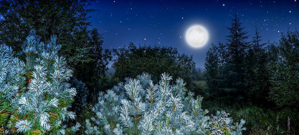 《西厢记》昆曲听琴,西厢记中听琴