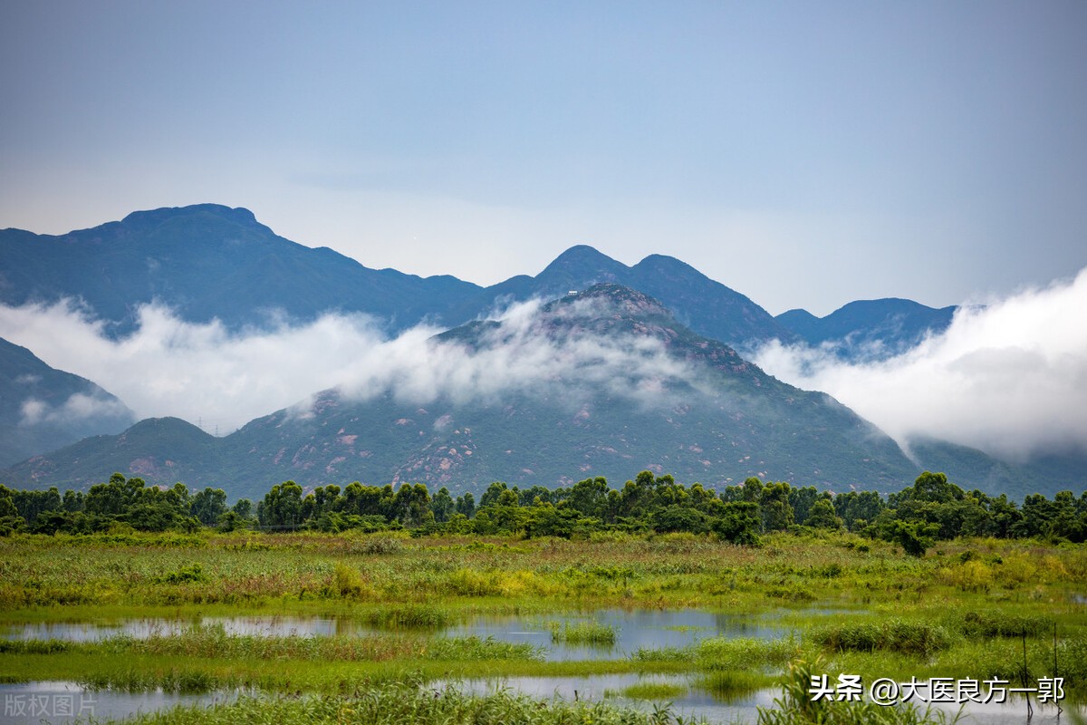 总结治疗“阳委”4大中成药，品种繁多，使用方便，疗效确切！