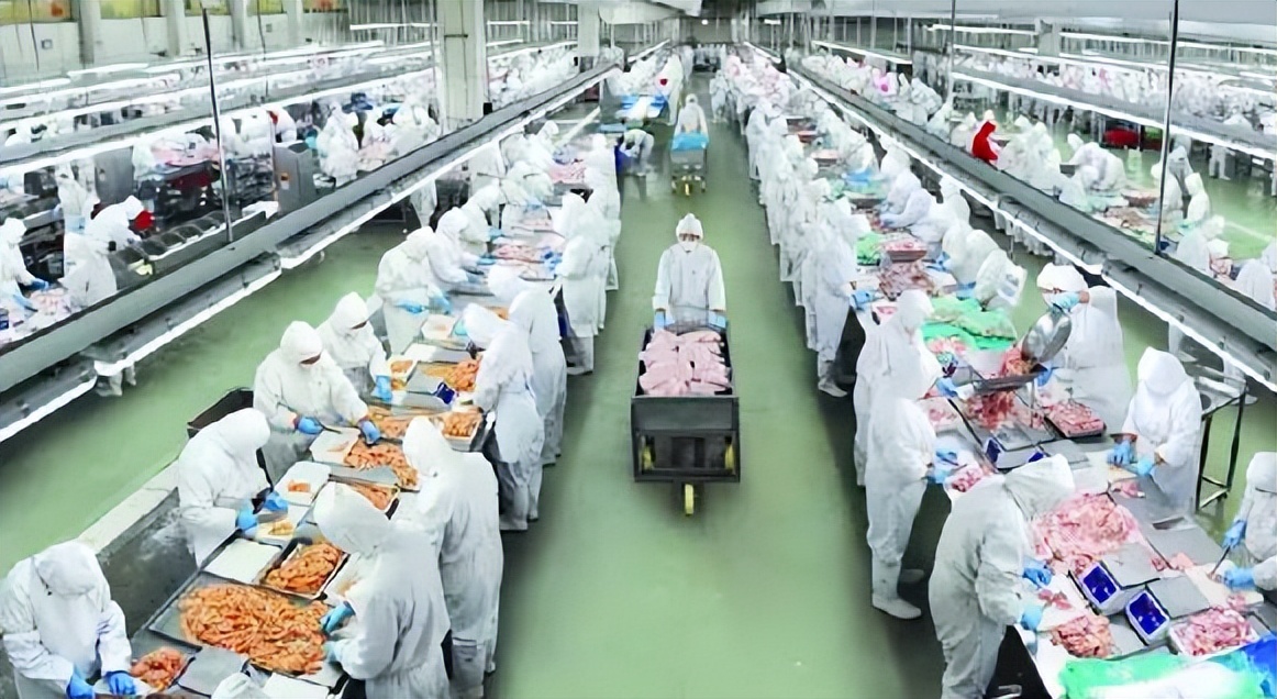 食品安全法的法律责任与违法处罚,涉嫌食品安全犯罪的应当怎样处理