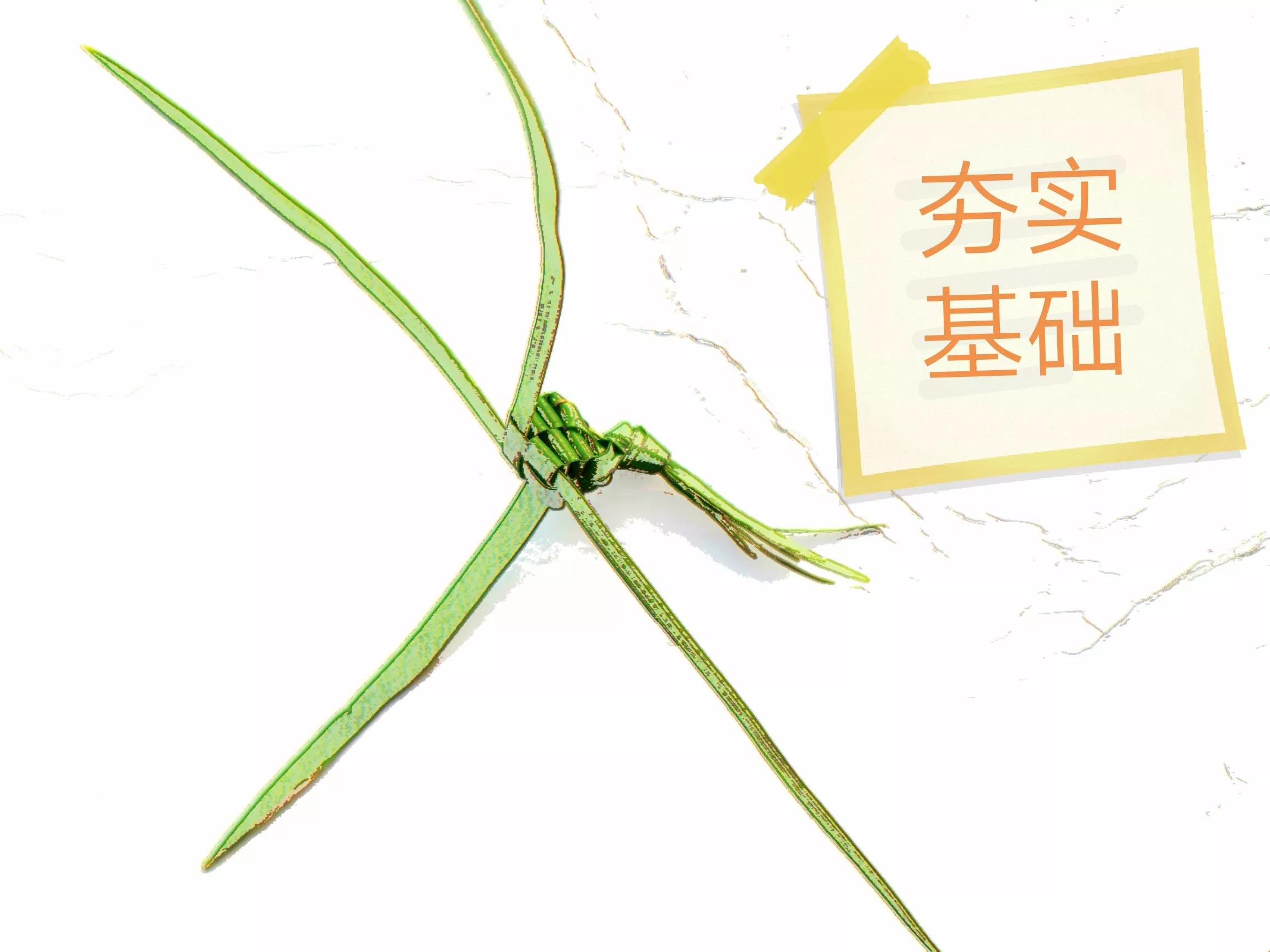 这样的小蜂窝，是不是也唤醒了你的童年记忆？