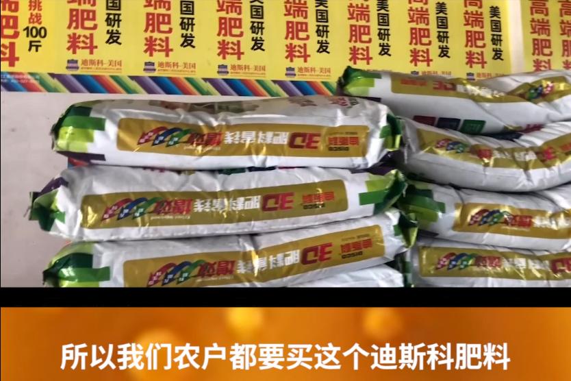 好产品、好服务、好口碑，迪斯科让大家都有好收益