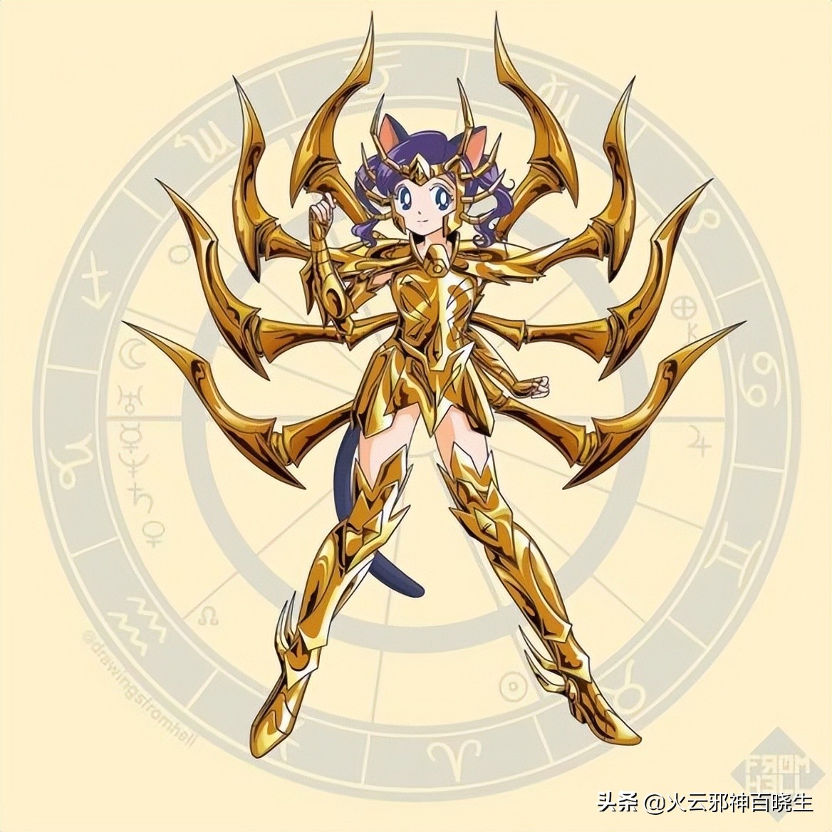 为什么圣斗士很少有女性,为什么圣斗士女性化