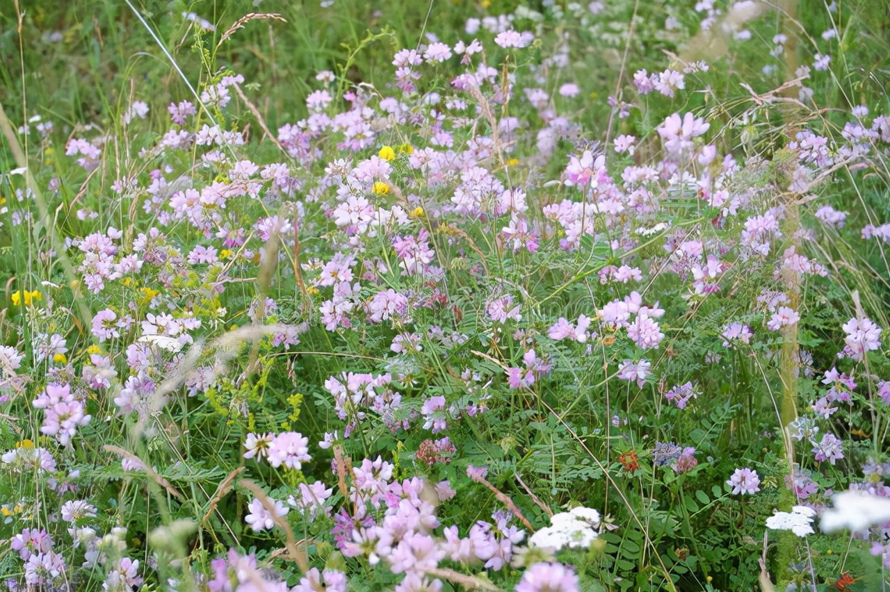 半生已过在余生里请不要辜负自己,半生已过后半生请善待自己