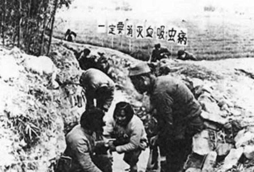 “蛊”究竟是什么？1958年我国蛊病泛滥成灾，毛主席亲自部署