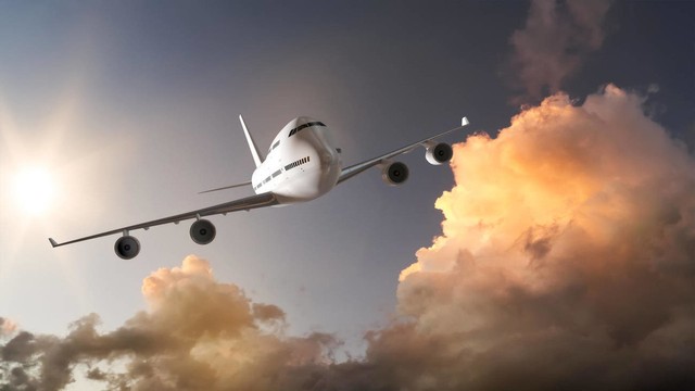 小学英语单词打卡,小学英语单词默写打卡