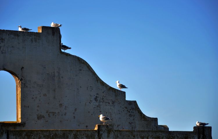 回味旧金山探访成功者的庄园,一种窗口令艾尔卡彭等囚犯备受折磨