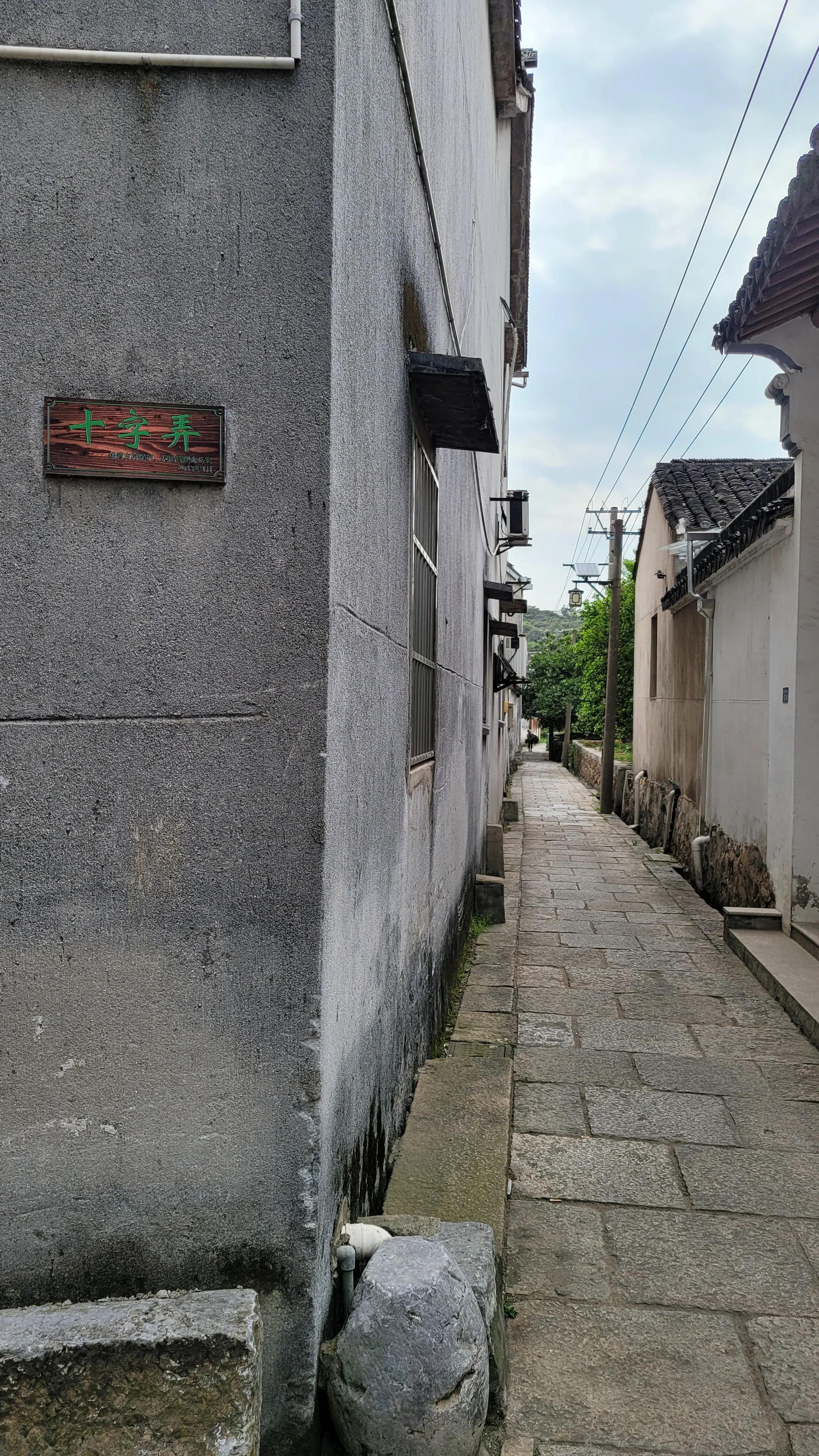 东山杨湾古村看杏叶,东山杨湾古村怎么进去