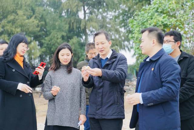 乡村振兴文化产业激发活力,我市乡村文化振兴工作现场