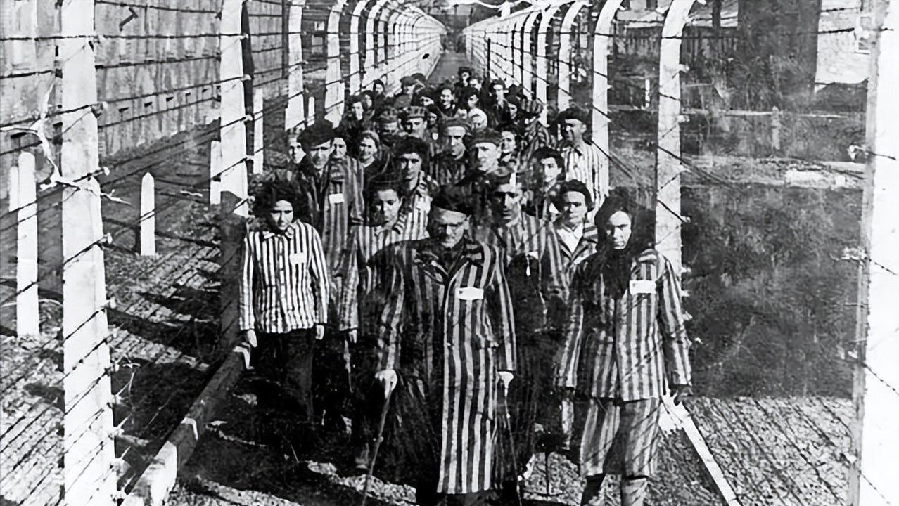 钢琴家战争的残酷,钢琴家战争片段