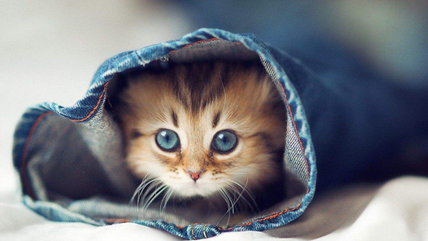 学驾照付出就有回报,学驾照从满心欢喜到心累