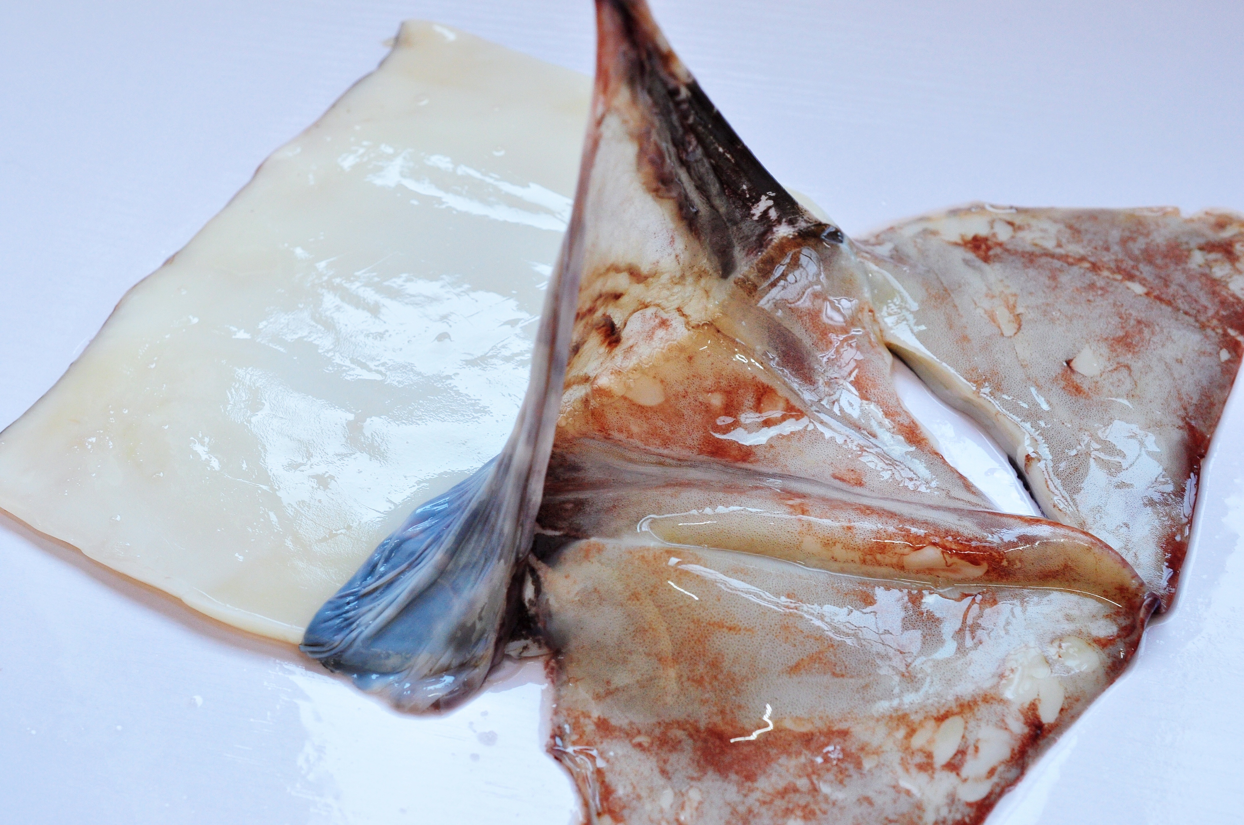 切干鱿鱼卷的正确方法,鱿鱼皮怎么撕干净利落