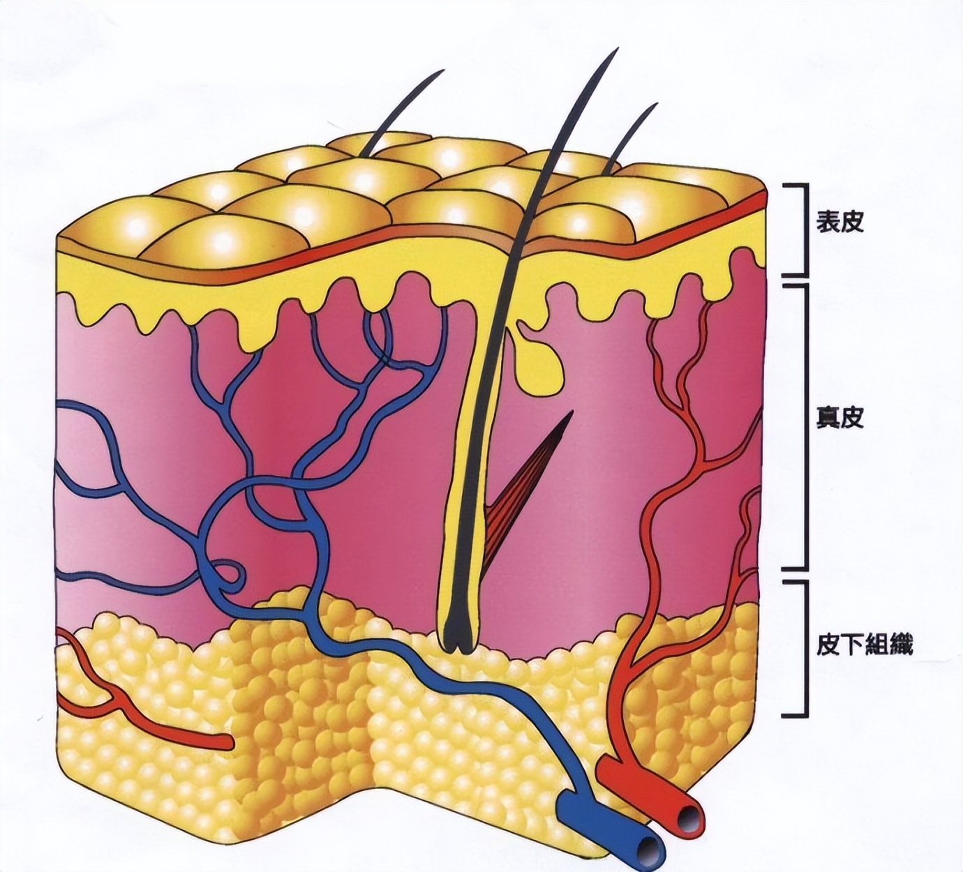 315曝光美容针感想,315曝光的美容针是哪家