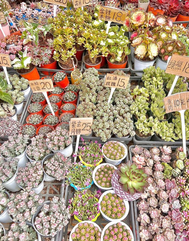 母亲节鲜花花束深圳,深圳福田区母亲节鲜花