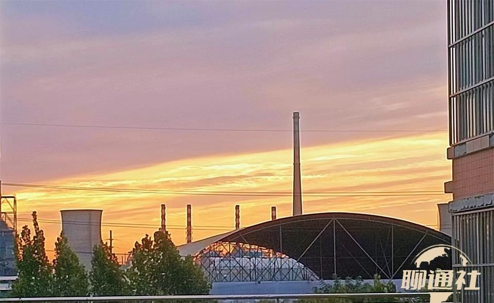 鲁西震惊！茌平区16家企业夺冠华丽登顶！