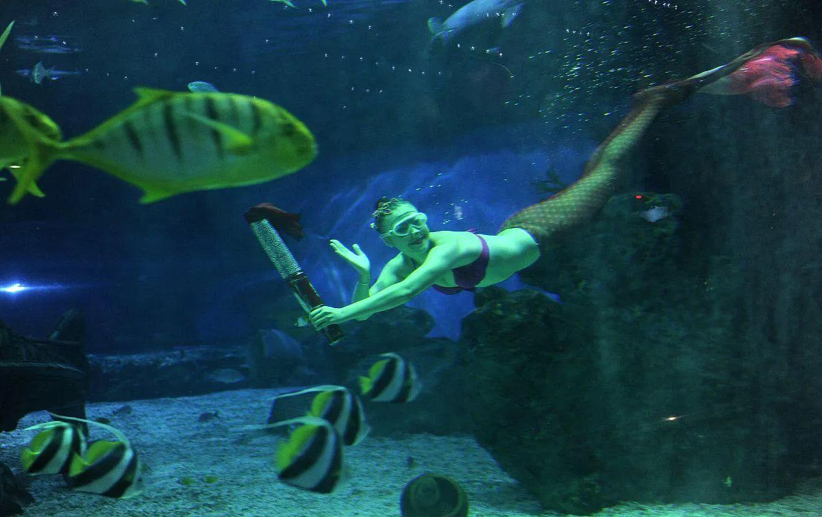 游客三亚潜水被强制拍照,三亚潜水游客遭强行推销求线索