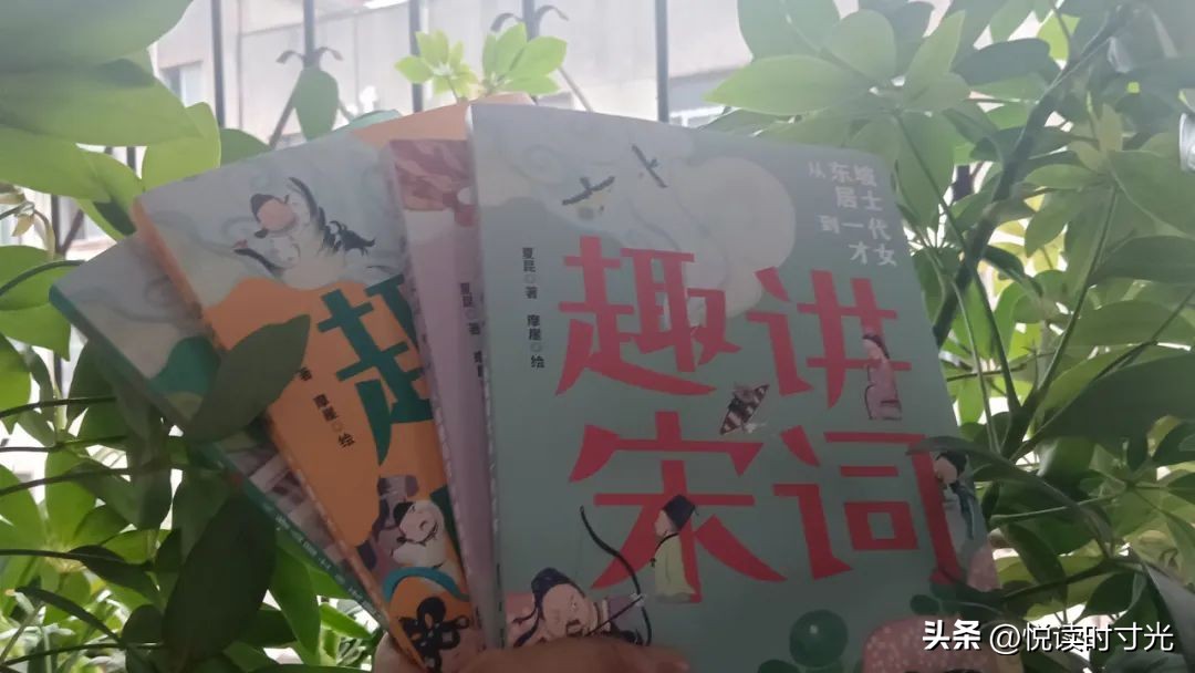 解读最美唐诗宋词,唐诗宋词经典推荐及阅读心得