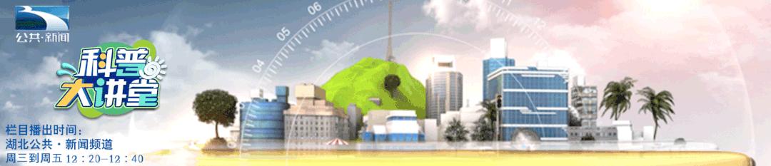 孕期中医调养,孕期中医推荐