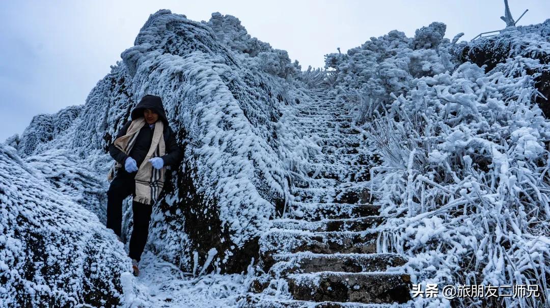 清远金子山旅游攻略看雾凇,广东金子山雪景旅游攻略