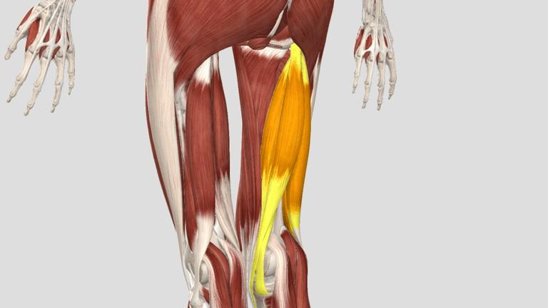 刘畊宏毽子操有效果吗,刘畊宏的毽子操锻炼的部位