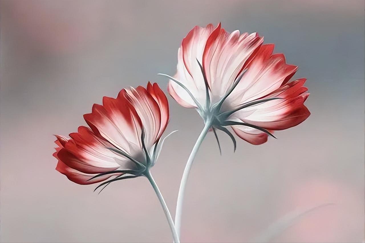 亲戚之间有哪些事是必须随礼的,记住再好的关系也不要有钱财往来