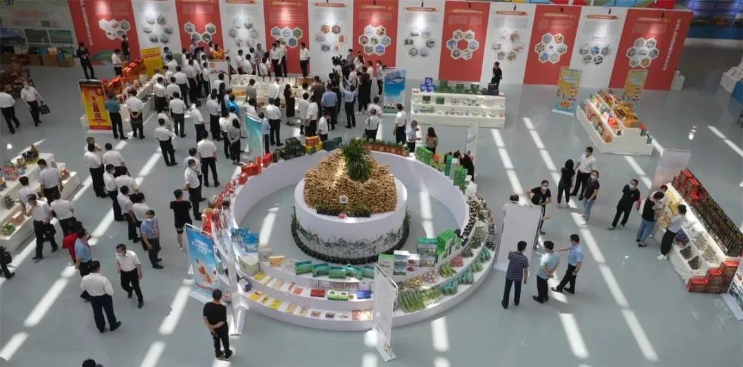 梦幻冬奥游记绘画,欢乐冰雪圆梦冬奥手绘画