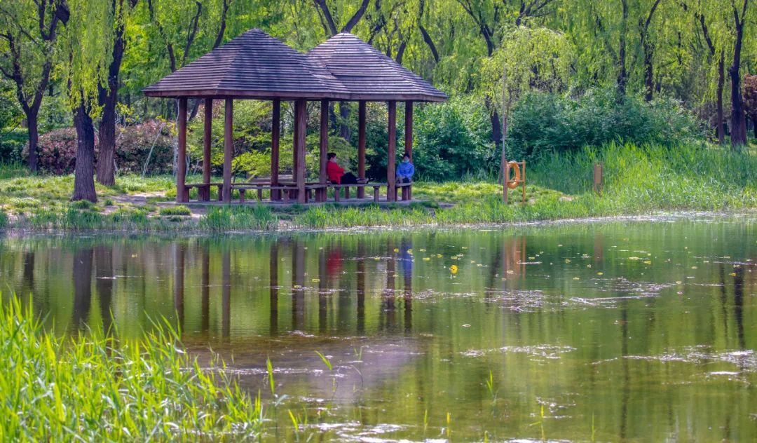 济南免费存放行李地方,存放物品济南